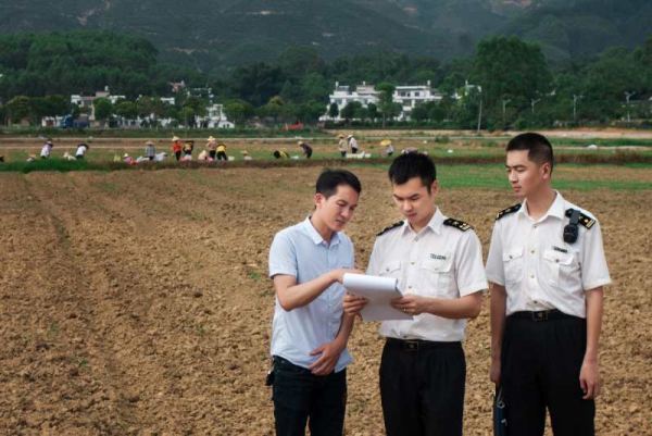 芋博士脱贫视频,芋博士贺州