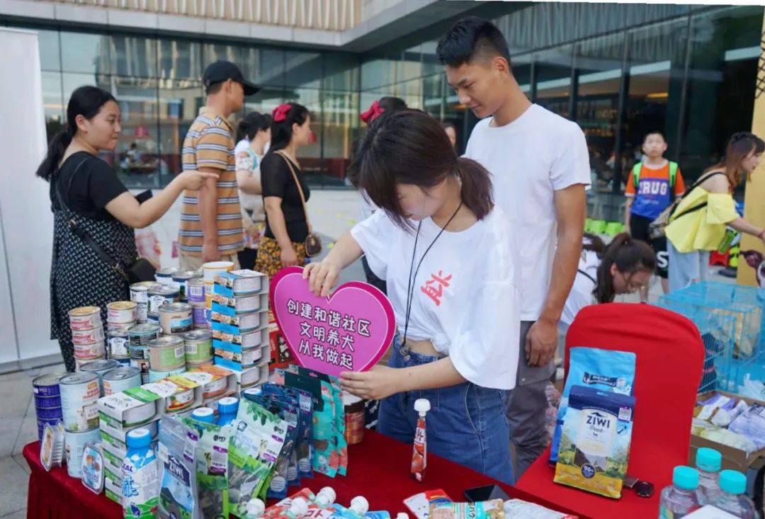 用领养代替购买，让流浪的“毛孩子”有个温馨的家~