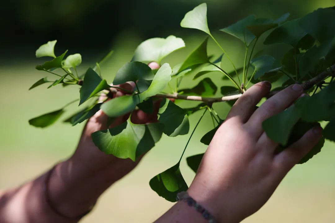 宾得dfa501.4人像样片,宾得da35mmf2.4镜头