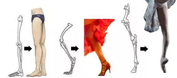 张雨绮光脚跳舞是哪一期,张雨绮光脚跳舞哪一期