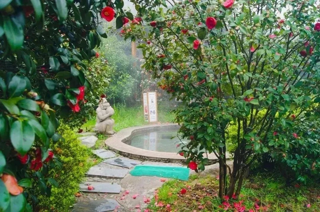 双11特惠多棱温泉票,双11温泉旅游团购