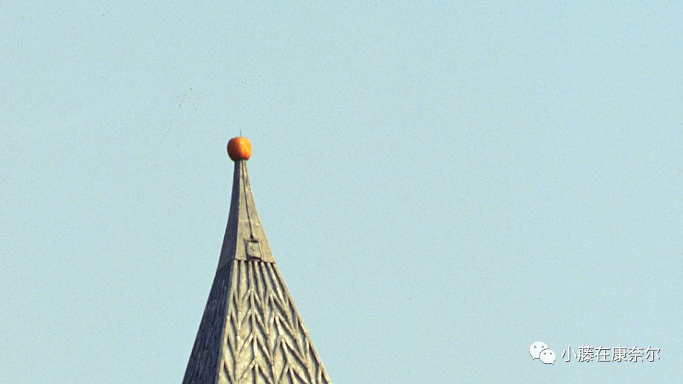 康奈尔福奇事件,康奈尔留学圈事件