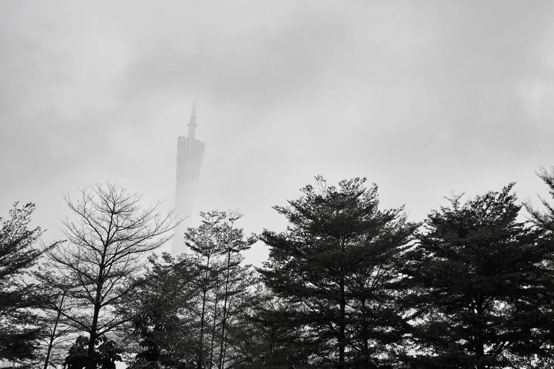 你可能不知道他们的名字,但一定看过他们写的故事