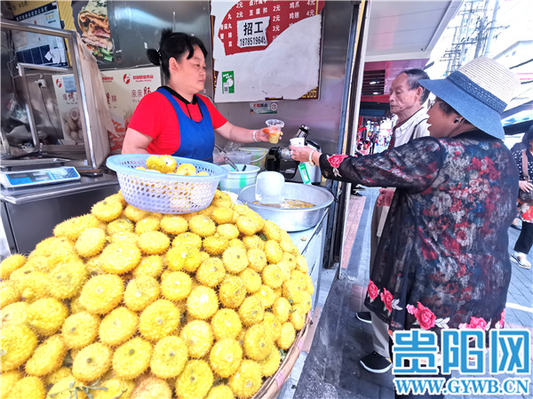 贵州刺梨苗子出售,贵州特产刺梨一箱价格