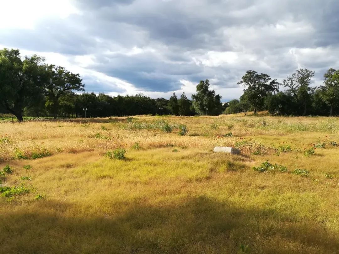 触动心灵的圆明园,人间天堂粤语男声版