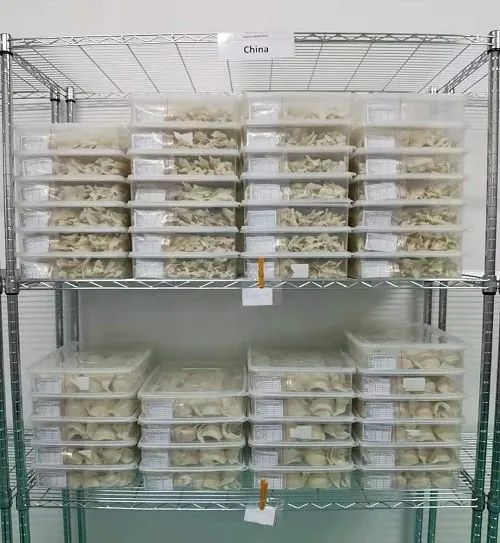 进口的燕窝中盏,进口燕窝需要注意什么