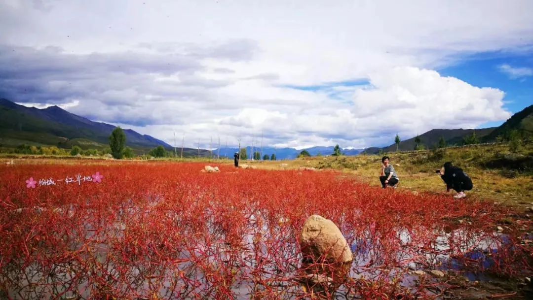 7-8月份甘孜旅游最佳地方,正是赏景好时节