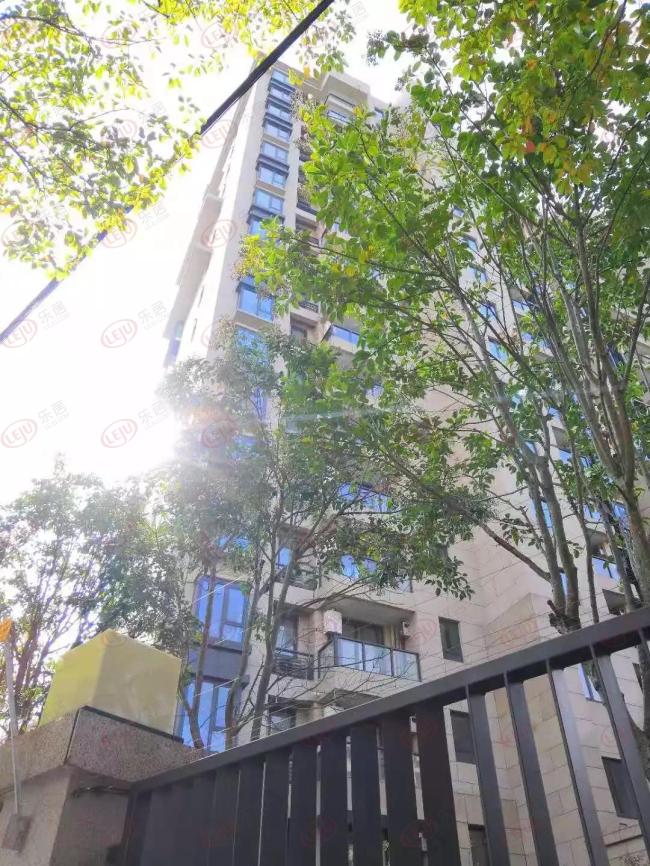 金桥九宫格周围还有什么新盘吗,金桥城市副中心新盘