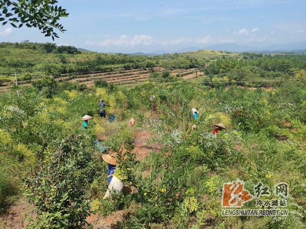 走向我们的小康致富路,走向我们的小康新生活