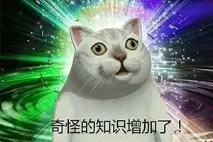 美黑？采耳？快来get√长沙这些冷门活动