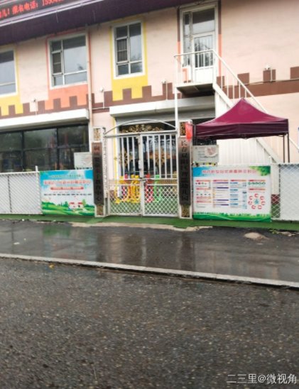 对抗“巴威”，他们竟然“拴”大树、电梯停运、连夜清理铁皮