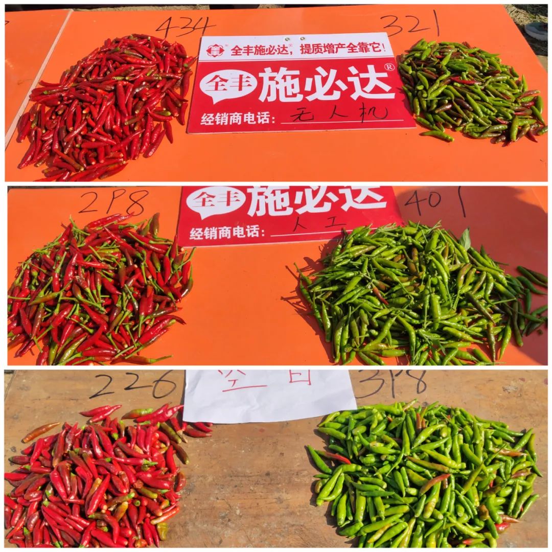 全丰施必达国光,辣椒叶面肥增产专用