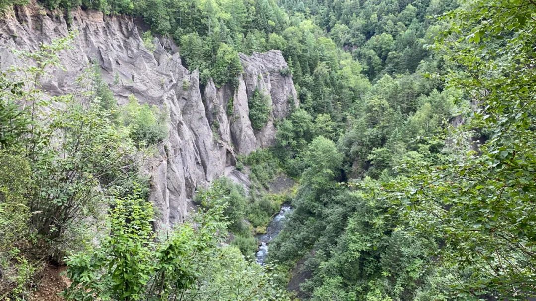 去长白山哪家酒店度假最好,长白山最佳观景酒店