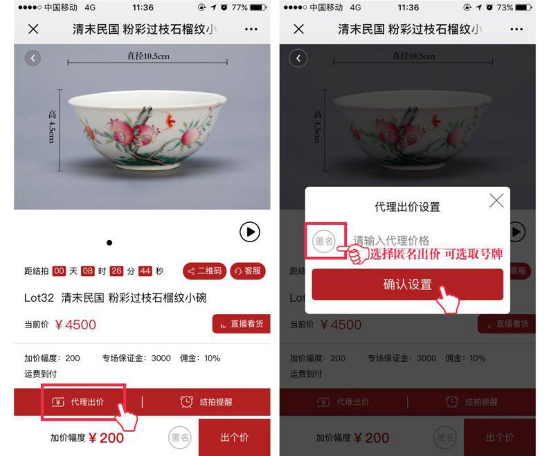 鍗庤鲍绉嬪鎷嶅崠,鍗庤鲍鎷嶅崠浠婃棩澶存潯