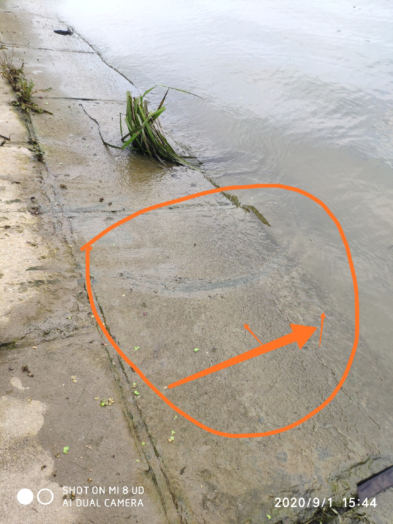 路亚铅头钩实用操作手法,路亚铅头钩零基础教学