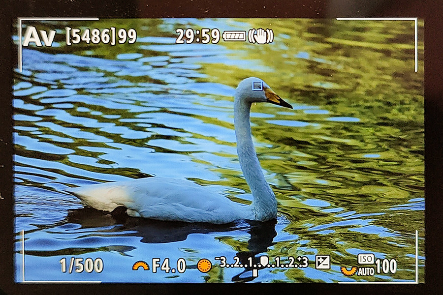 比肩eosr的相机,比佳能r6好的相机推荐