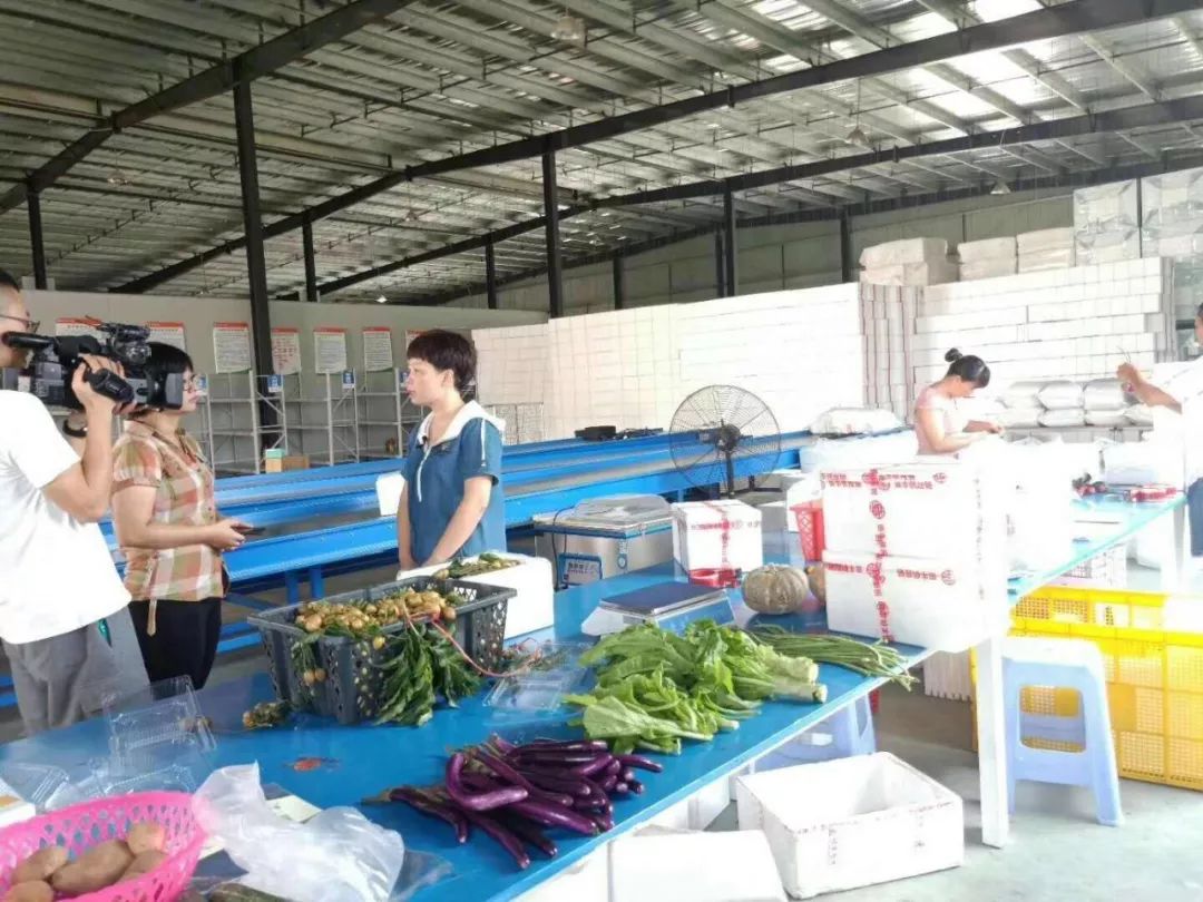 电商扶贫政策设计案例,电商精准扶贫活动方案的指导意见