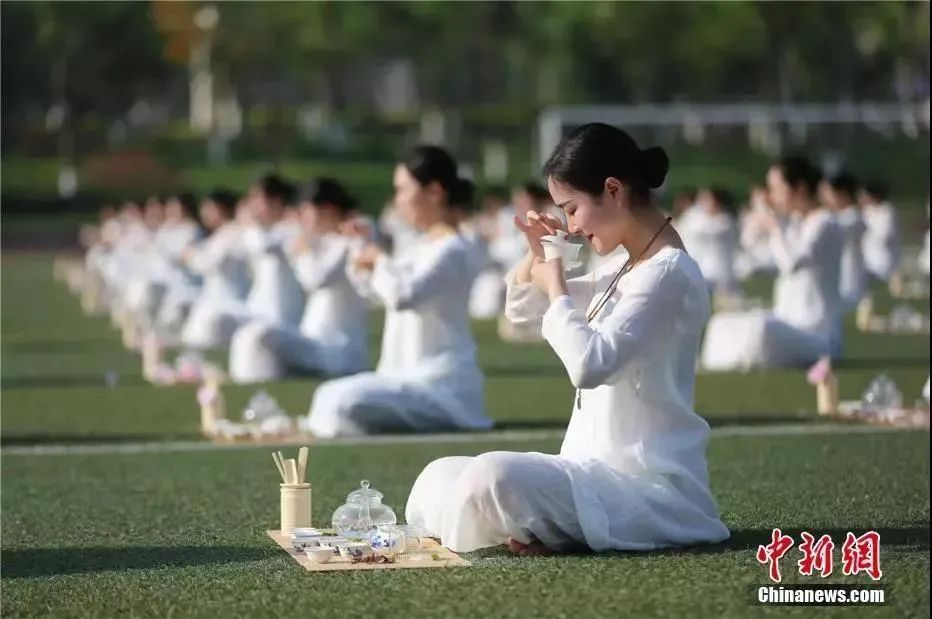 今日白露完整版歌,今日白露美句美文