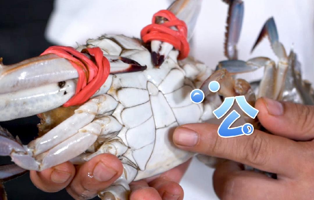 青岛二十四节气白露,二十四节气里的青岛