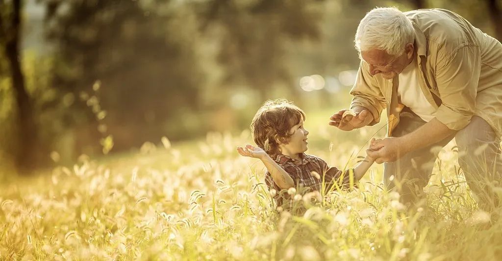 刘心武谈红学百家讲坛,刘心武讲红楼