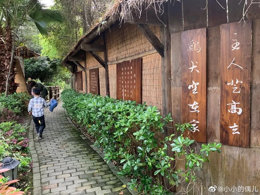 成都周边一日游网红打卡地民宿,成都网红打卡地旅游民宿