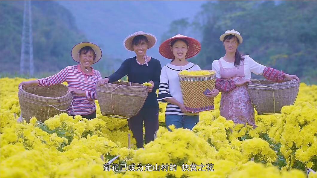 柳州市网络扶贫哪家强？请您来参加有奖投票