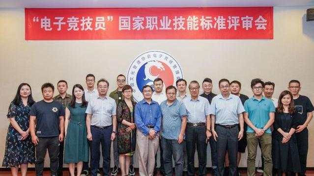 电竞专业标准,电竞游戏技能标准
