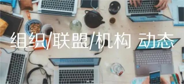 太湖迷笛音乐节2021直播,太湖迷笛2021