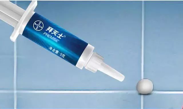 让蟑螂来一只死一窝的方法,蟑螂克星蟑螂窝