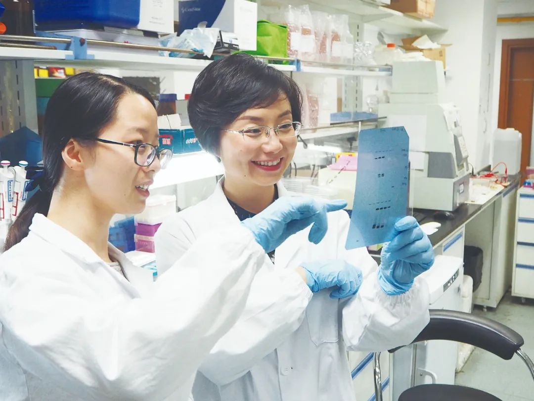 从生命的“隐秘角落”出发|重点实验室巡礼