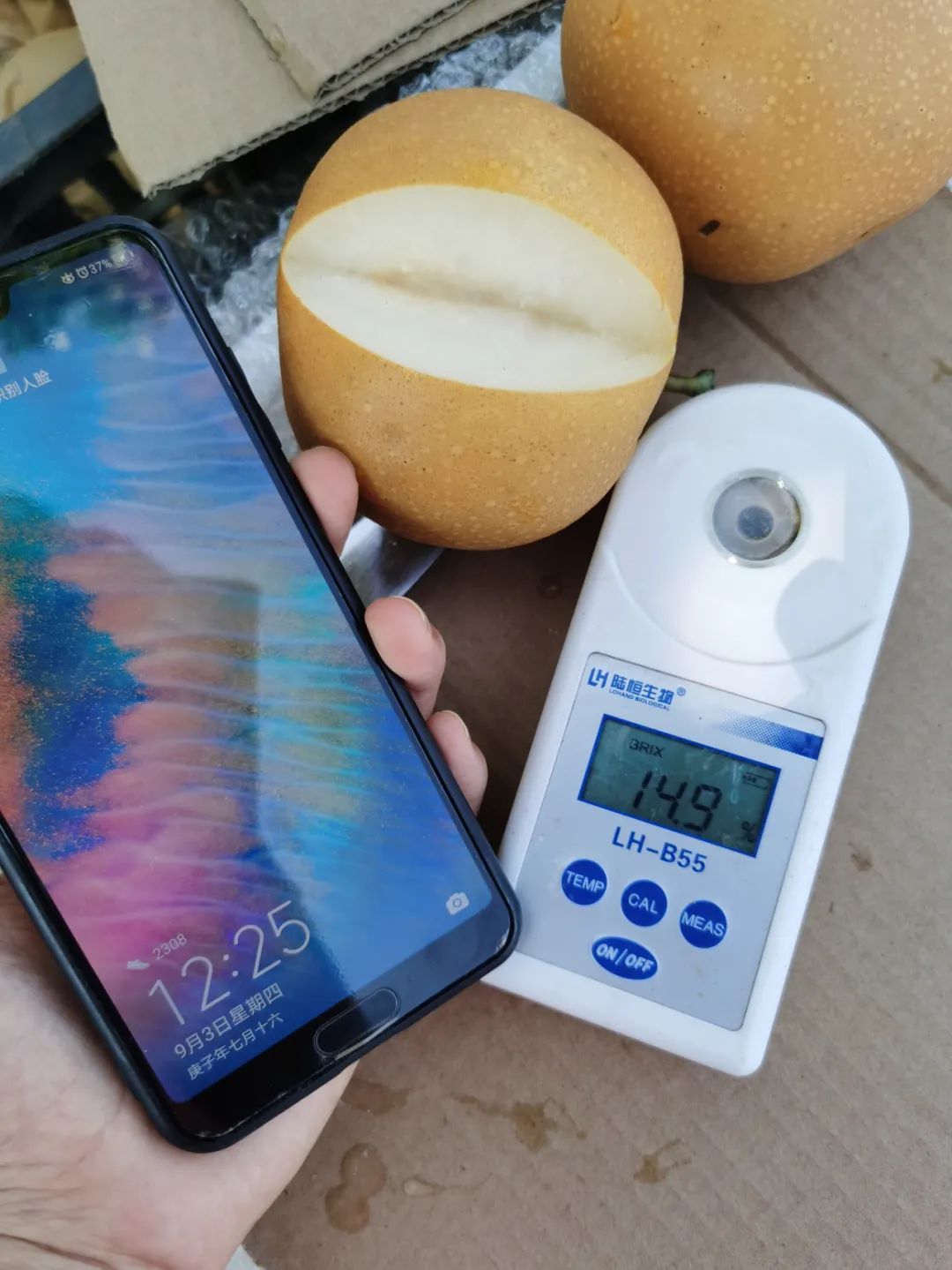 蜜汁秋月梨,冰糖秋月梨脆甜