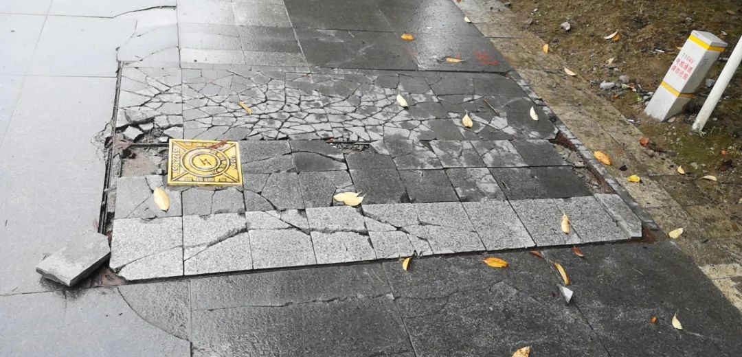 欠收拾图片,宝宝欠收拾