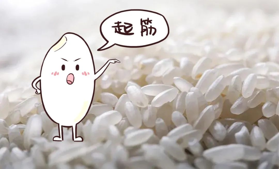 日常如何鉴别大米的好坏,怎么样分辨大米优劣