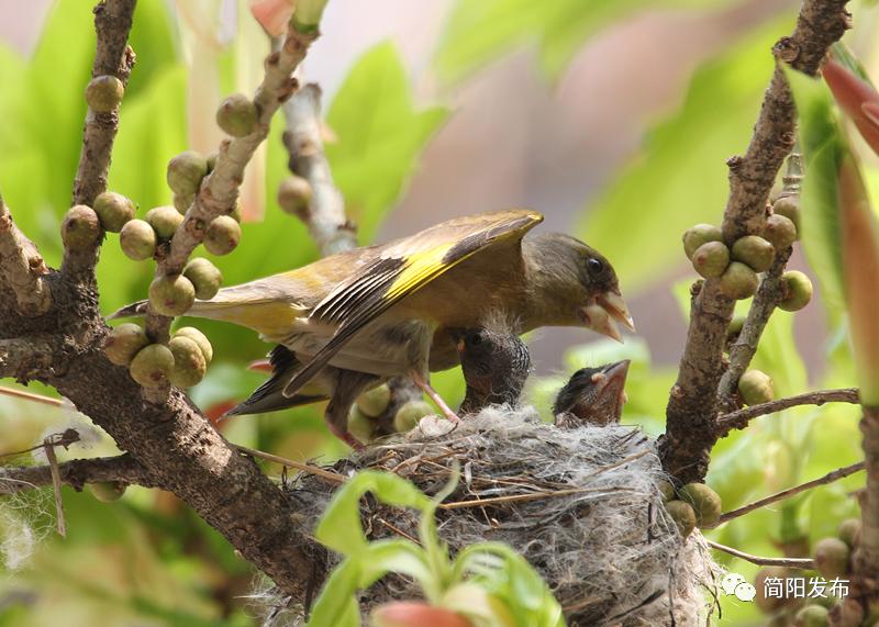 颁奖典礼的获奖人,获奖者颁奖典礼视频