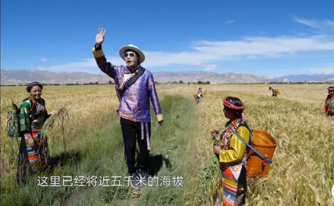 周末综艺看点｜|浙江卫视《百度好奇夜》直播，湖南卫视推新综带货国货