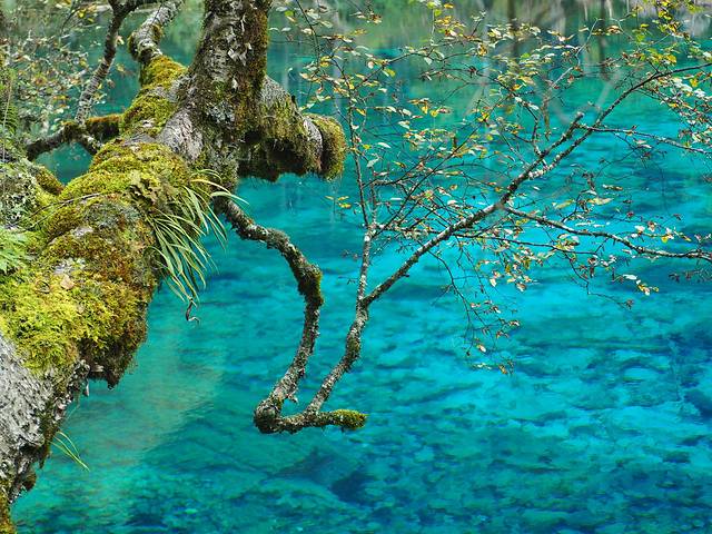 初秋，与神话九寨的浪漫之约