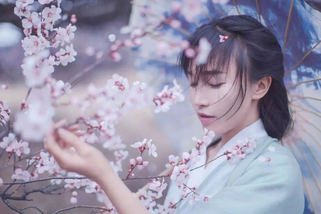 李子柒中秋月饼,李子柒嫦娥月饼