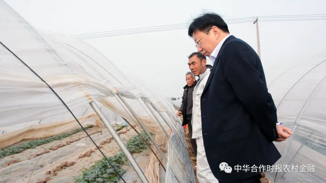 独家丨激发“人”的力量！江苏响水农商银行董事长张维贤：有了优秀团队，所有问题都不成问题