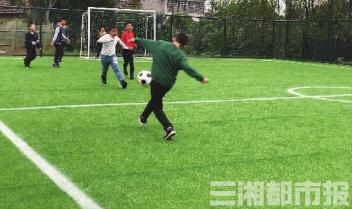 走向胜利·决战决胜乡村述说｜临澧县四新岗镇久丰村：土地生“金”，解锁“久丰”密码