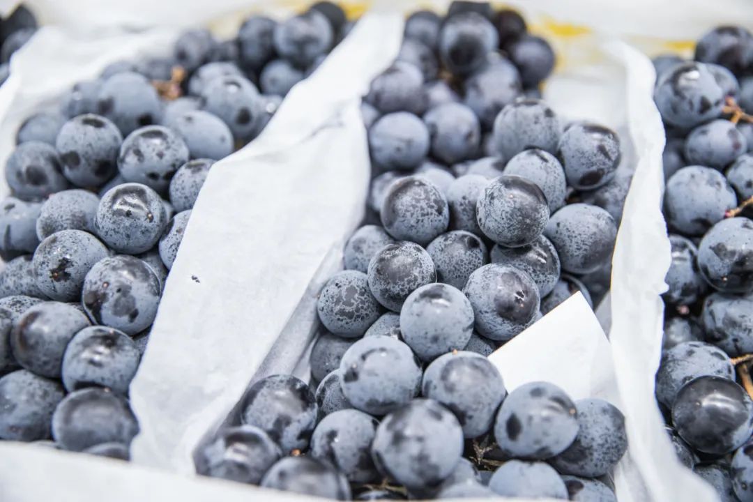 2小时高铁+1小时地铁，就为了去成都逛超市？