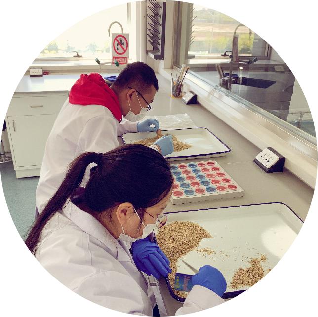 海关出口小知识,海关小知识大全集