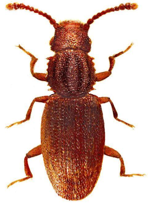 海关出口小知识,海关小知识大全集