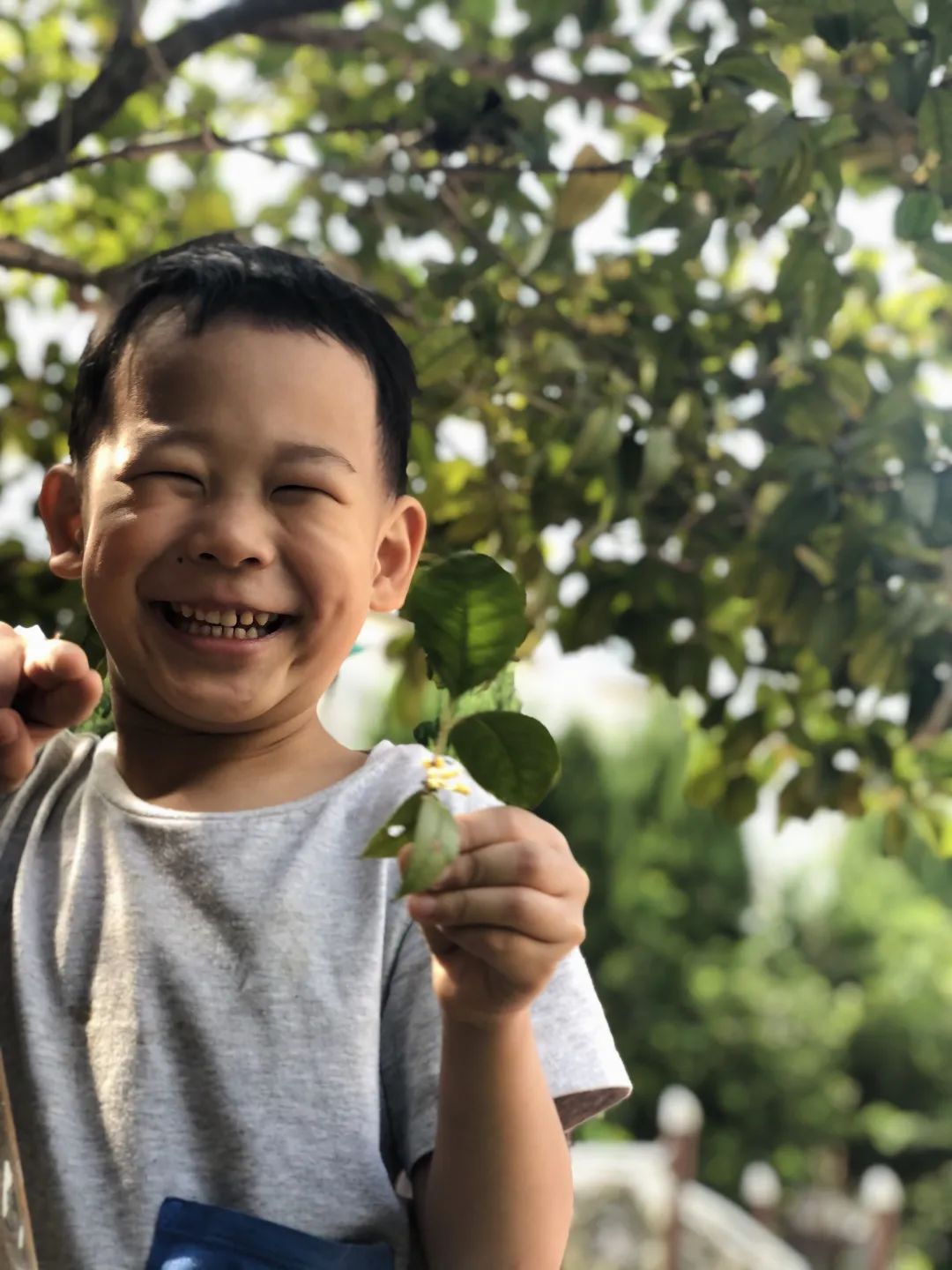 滨江多思创新学校,滨江学校全部排名