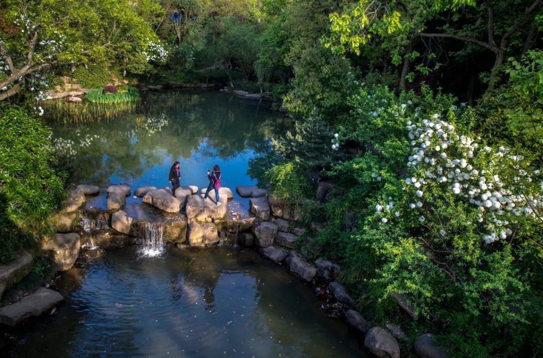 今天，中秋邂逅国庆！拱墅一身“红妆”一城月色，映照万千团圆至味！