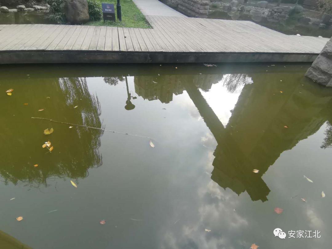 一墙之隔房价,一墙之隔价格相差几千一平怎么选