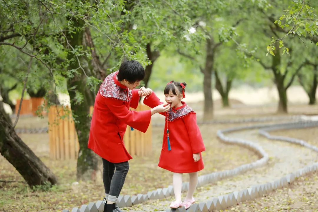 阎良千年枣林的照片,阎良千年枣林老照片