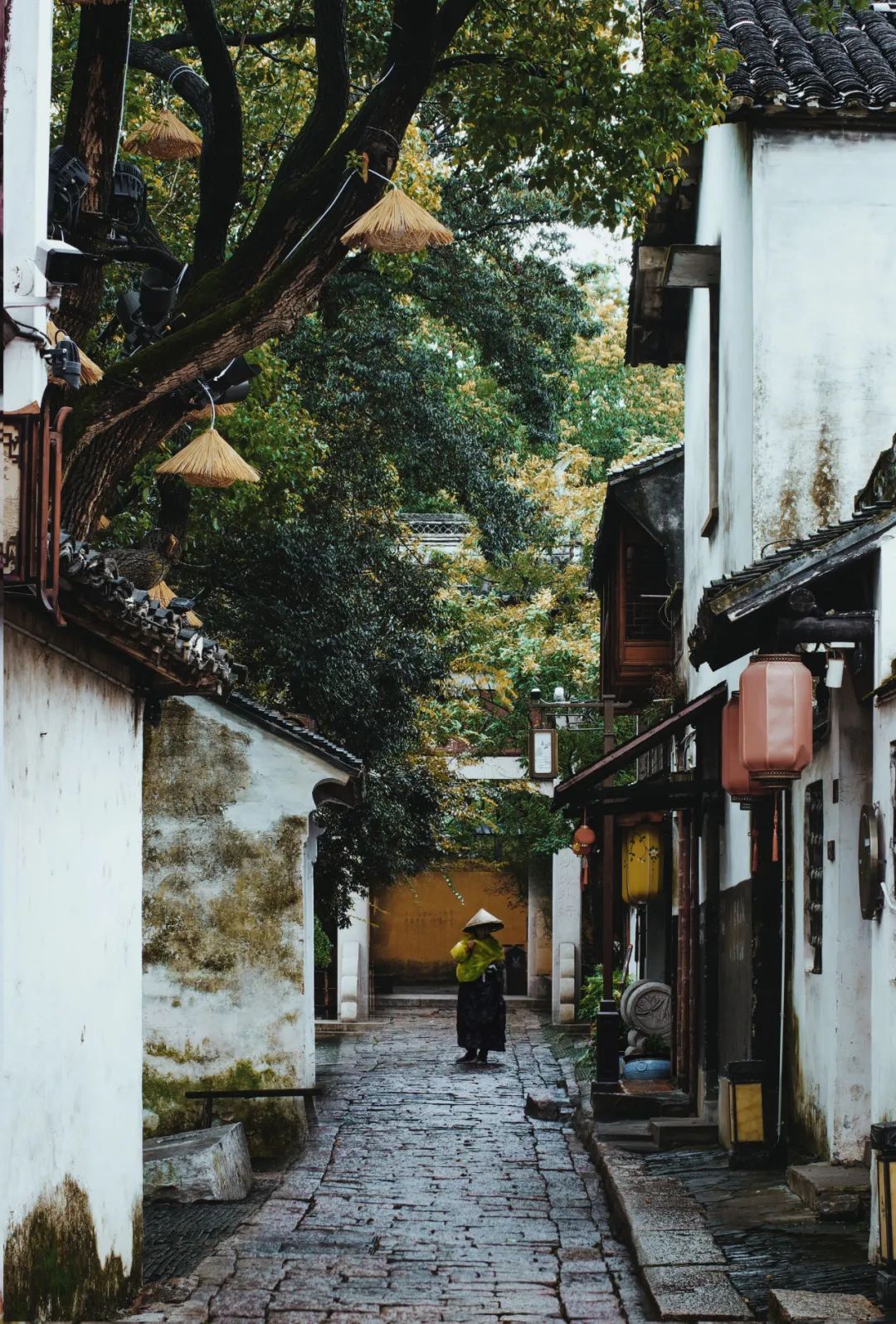 苏州是一座什么样的城市,苏州是一座美丽的城市