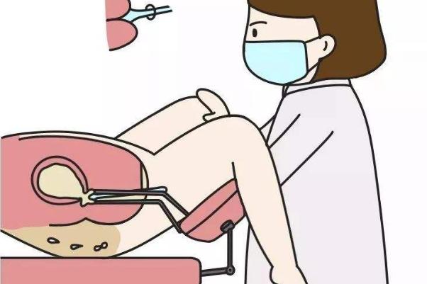 阴超和腹超有多少误差,阴超和腹超价格一样吗