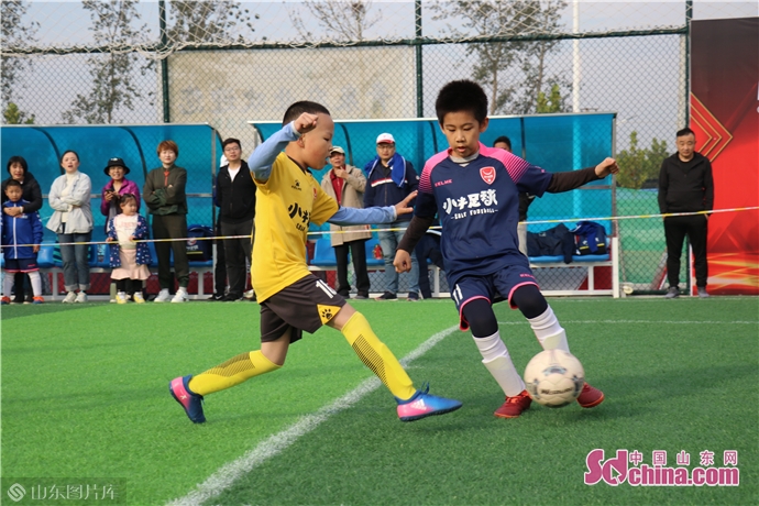 小牛足球最新比赛,小牛足球联赛