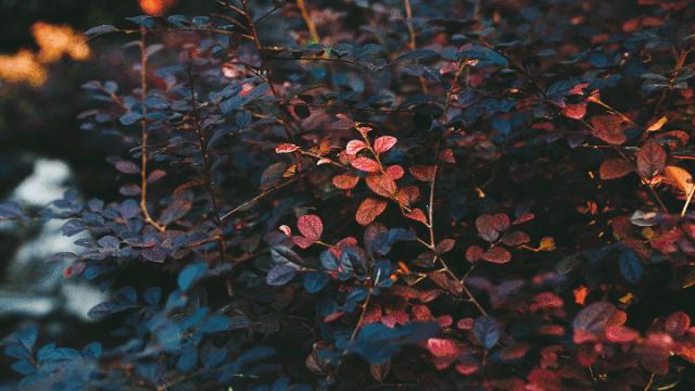 南京汤山温泉特惠套餐,南京汤山10到20元温泉攻略